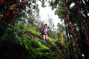 BIB: 
                            <button type="button" onclick="openModal(26205396)" class="btn btn-primary btn-sm float-right btn-popup" data-toggle="modal" data-target=".modal-high-quality">
                        <i class="fas fa-shopping-cart"></i> Add to Cart
                    </button>
                                            <button type="button" onclick="isThisMe(26205396, true)" class="btn btn-success btn-sm float-right btn-popup btn-isme hidden" data-toggle="tooltip" data-placement="bottom" title="นี่คือรูปของคุณใช่ไหม คลิกที่นี่เพื่อเอาเข้าอัลบั้ม">
                        <i class="fas fa-plus"></i> Add to album
                    </button>
                    <button type="button" onclick="isThisMe(26205396, false)" class="btn btn-warning btn-sm float-right btn-popup btn-isnotme hidden">
                        <i class="fas fa-ban"></i> Remove from album
                    </button>